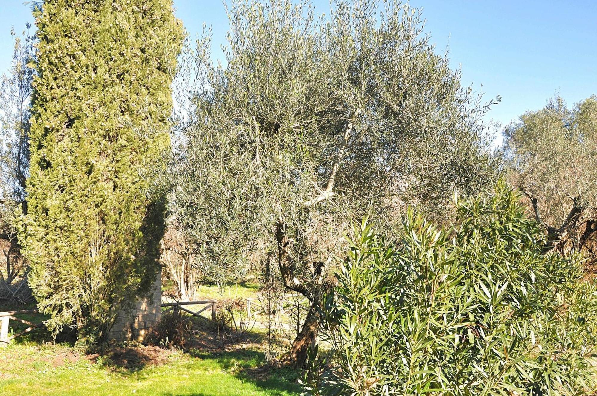 CapranicaMontecasciano Primula别墅 外观 照片